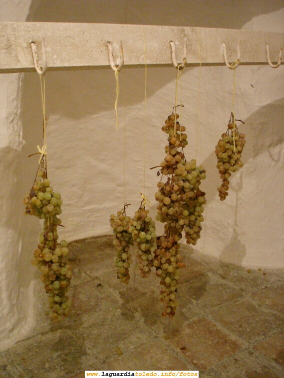 Costumbre tradicional guardiola de colgar uvas en la cueva