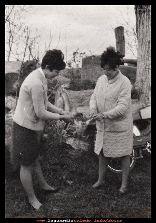 Urbani y Luisa