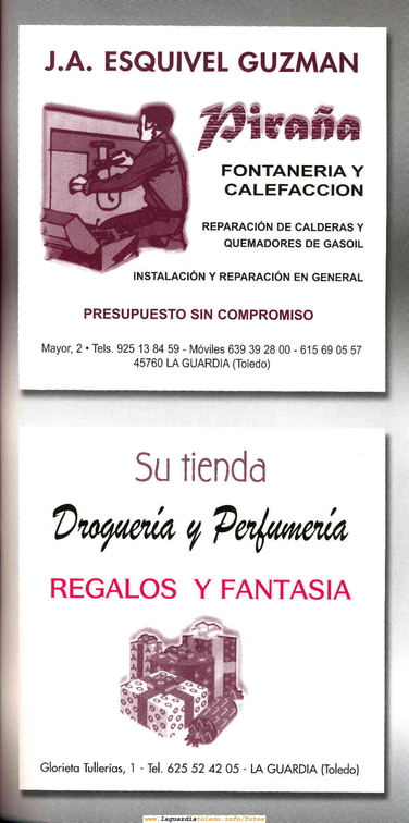 Programa 2006