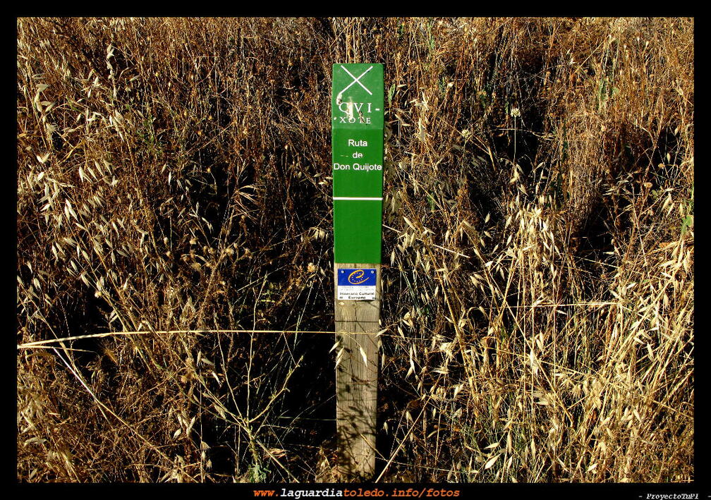 Ruta de Don Quijote 11 de julio de 2009