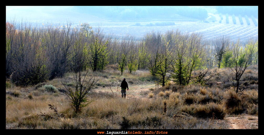 IV Marcha de Quijotes en Ruta - Pinceladas verdes en el invierno de La Fuenta de la Peña -